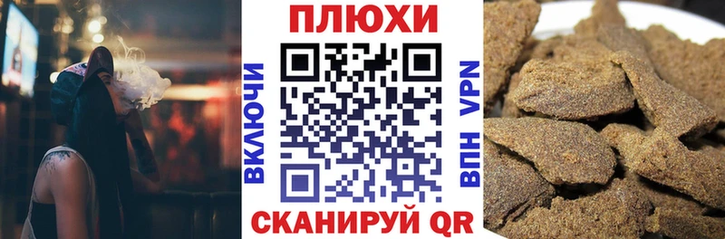 ГАШ Cannabis  Куровское 