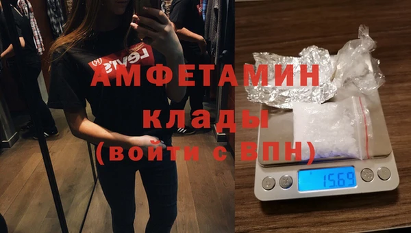 амф Алзамай